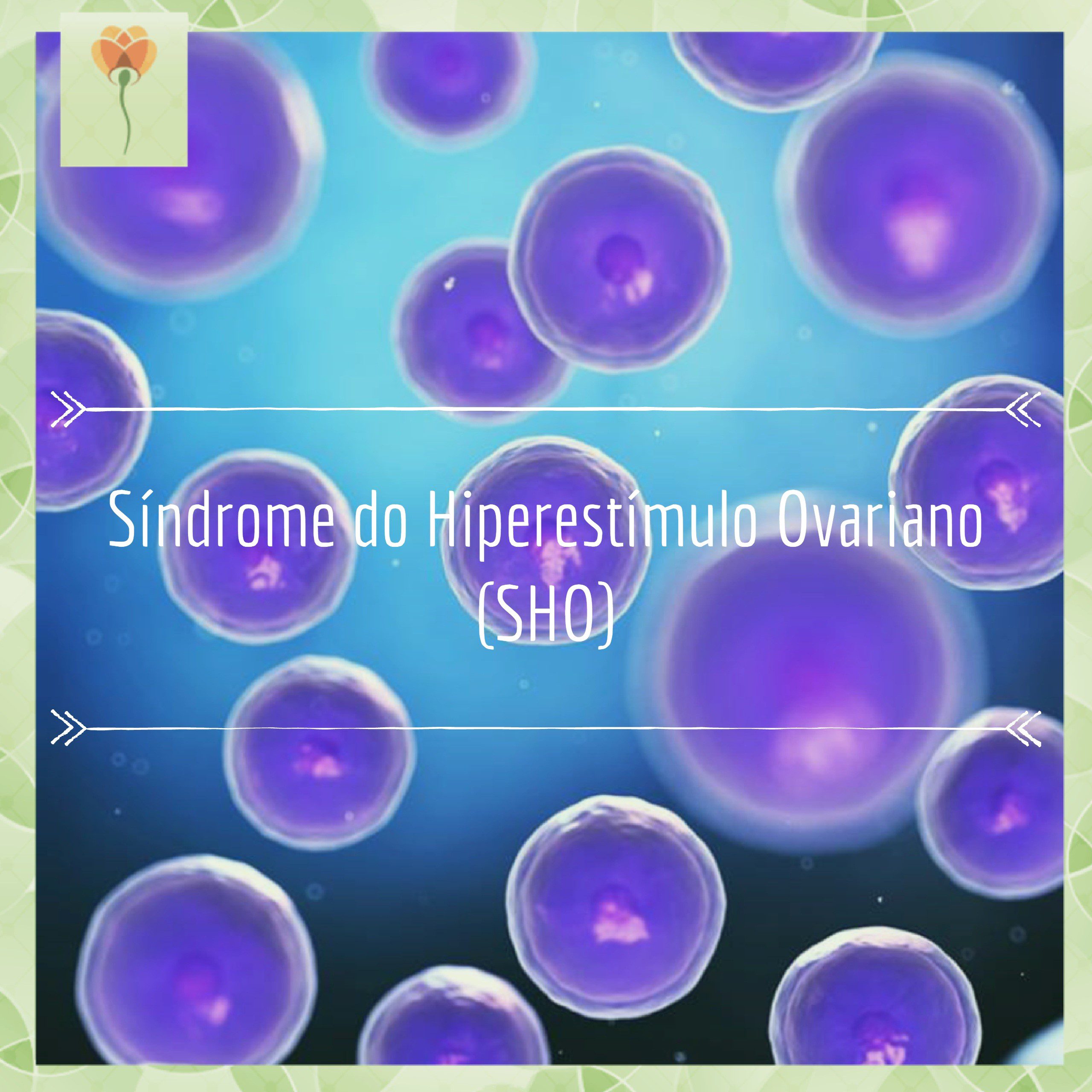 Síndrome do Hiperestímulo Ovariano
