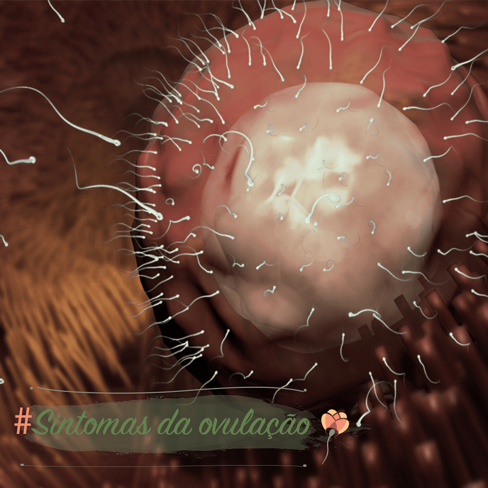 Conhecendo o seu corpo: sintomas da ovulação