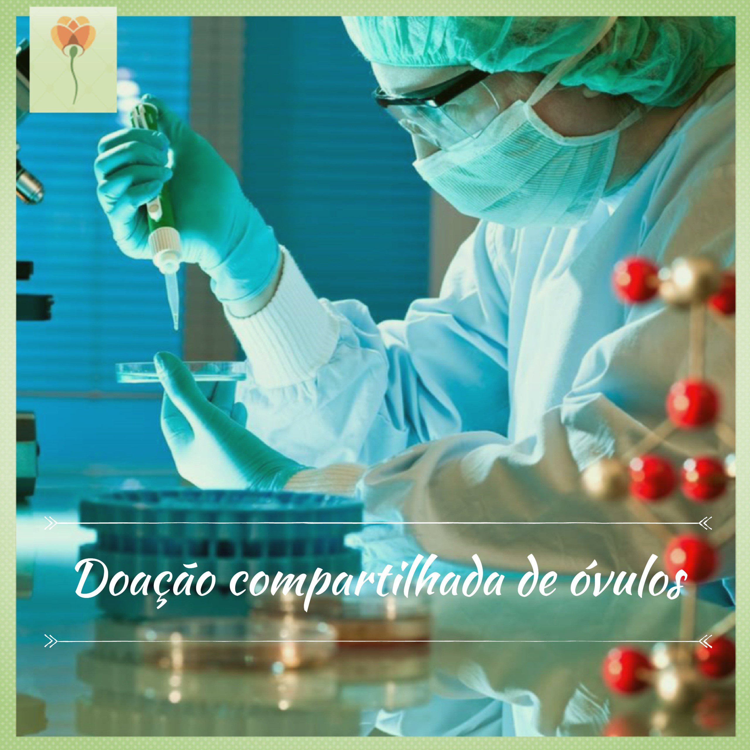 Ovodoação: o que é e como funciona?