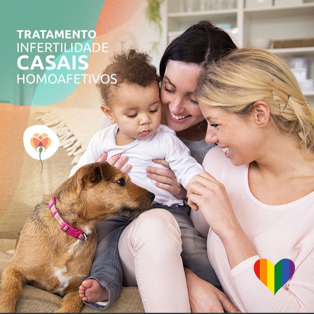 Veja as opções de tratamentos para casais homoafetivos terem filhos