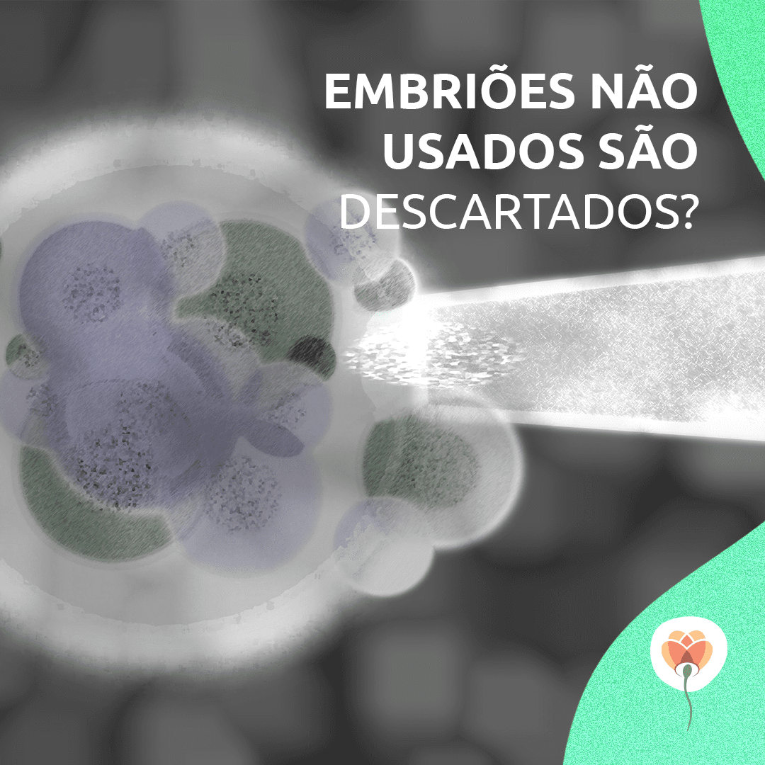 Embriões não usados são descartados?