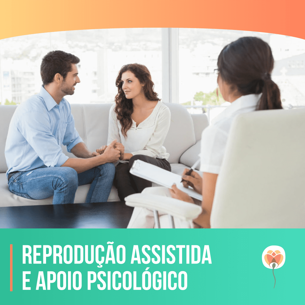 Reprodução Assistida: ir a psicóloga por quê?