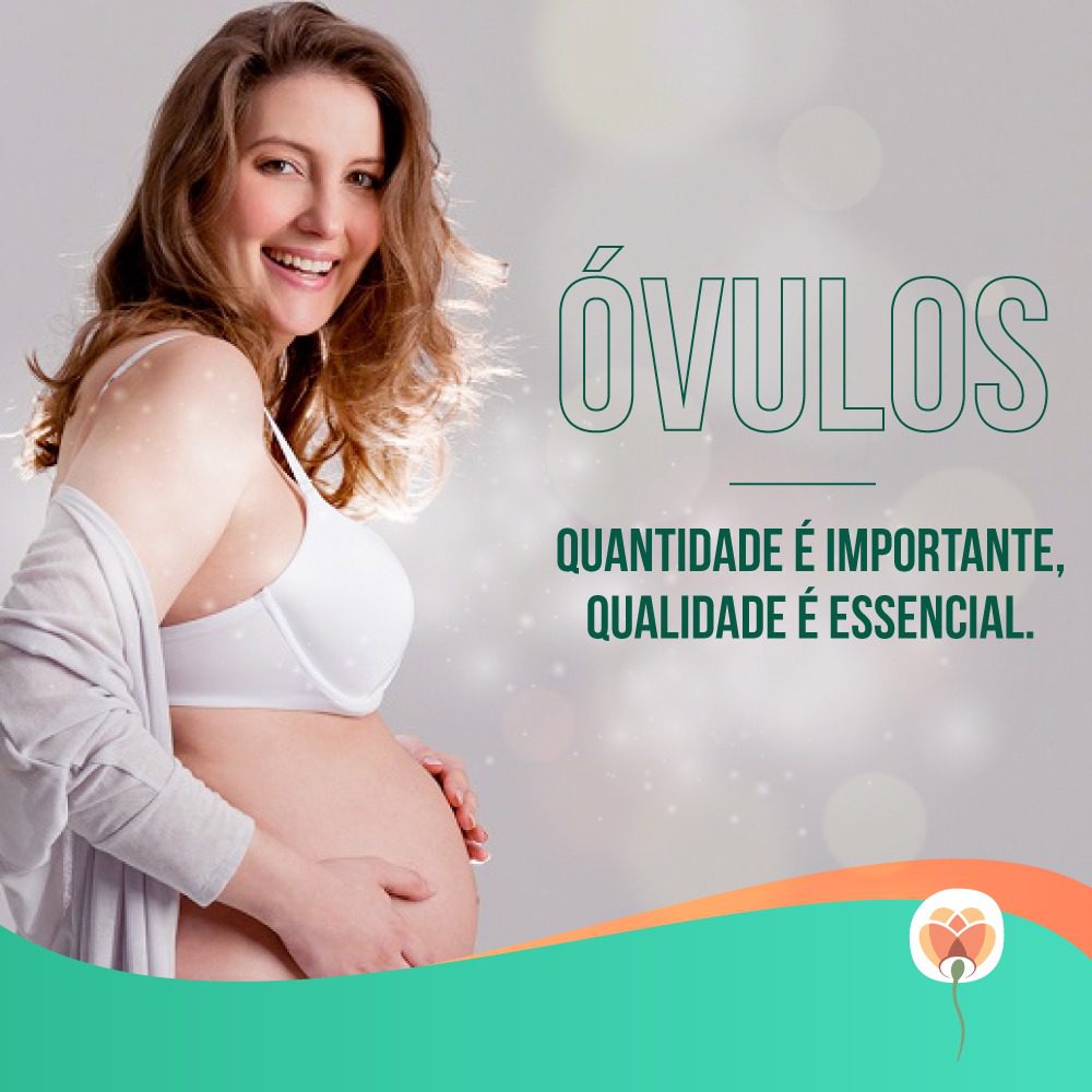 Quantidade e qualidade dos óvulos