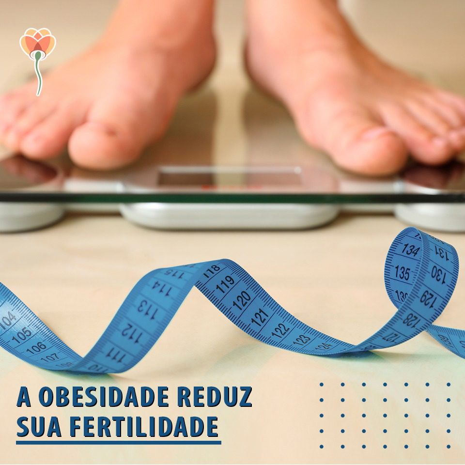 Porque a obesidade interfere na fertilidade