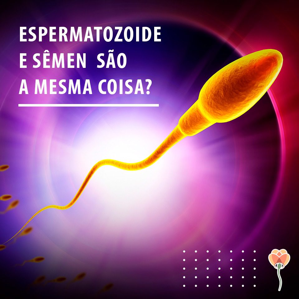 Diferença entre espermatozoide e sêmen