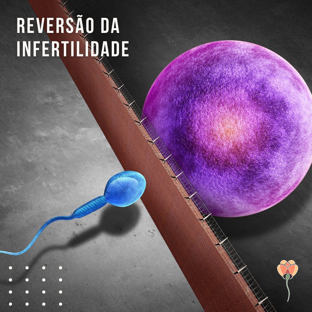 É possível reverter a infertilidade?