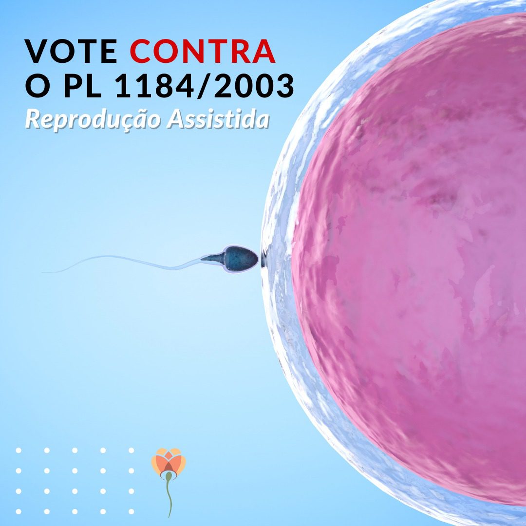 Projeto de Lei 1184/2003 Reprodução Assistida