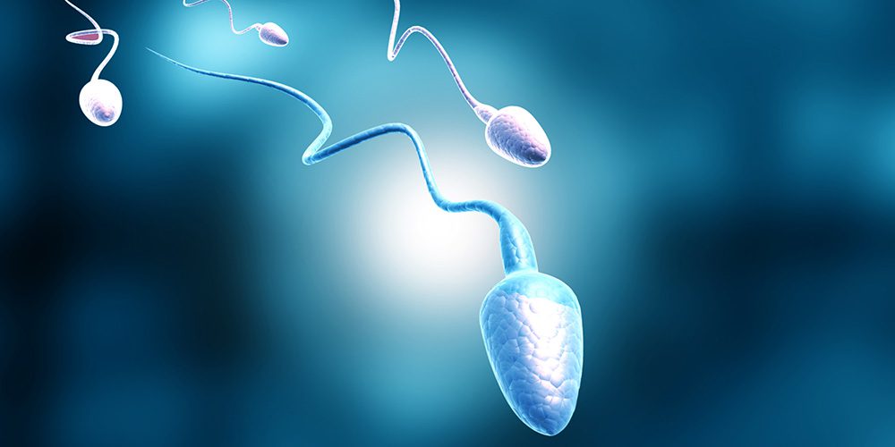 Oligospermia e infertilidade masculina