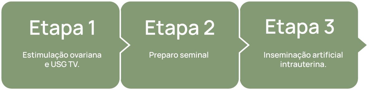inseminação artificial intrauterina etapas
