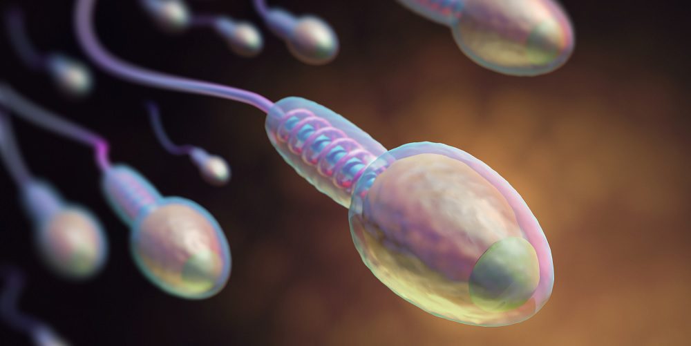 tudo sobre motilidade dos espermatozoides